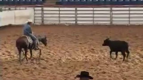 Snappin Copy Cat - MUST SEE - Will Be Shown at the 2008 NCHA Futurity