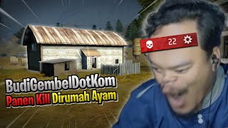 Berburu Pengendok Handal Di Rumah Ayam