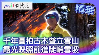 千年圓柏古木聳立雪山 霞光映照前進陡峭雪坡｜苗栗縣泰安鄉 麥覺明【@ctvmit834集】