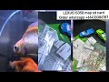 LEXUS IS350 2015 all series map sd cards available