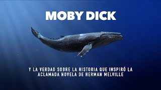 Moby Dick la historia que inspiró la aclamada novela de Herman Melville