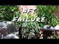 DIY Hydroponics / NFT failure