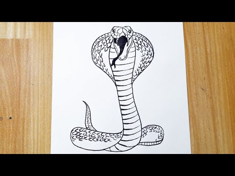 How to draw a cobra snake easy step by step || Easy animal drawing