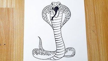 How to draw a cobra snake easy step by step || Easy animal drawing