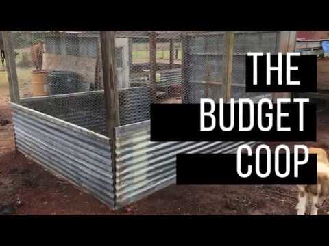 building-a-budget-chicken-coop