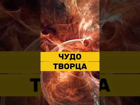 Ты не видел этот мир