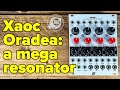 Xaoc Devices Oradea | Quad analogue resonator demo & patch ideas video thumbnail