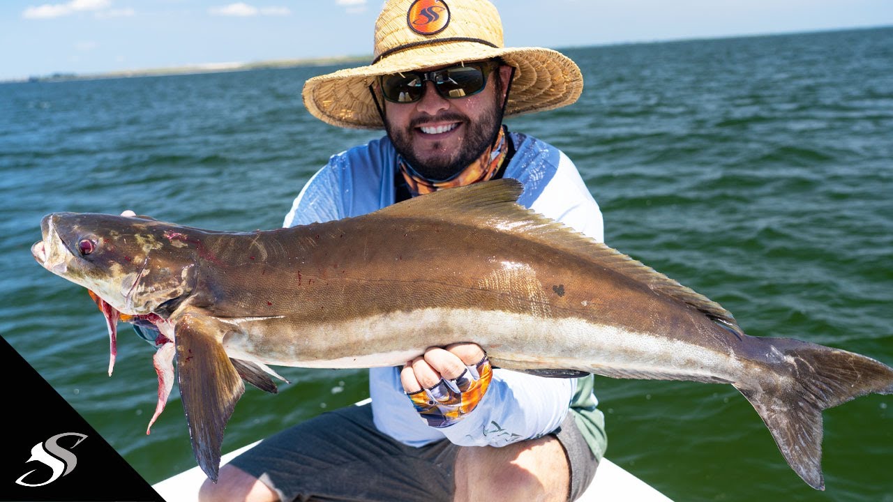 Sight Fishing Cobia on Markers! 