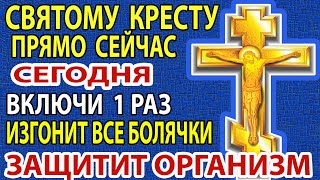 СВЯТОМУ КРЕСТУ ВКЛЮЧИ! СИЛЬНАЯ ЗАЩИТА от Бед на Весь Год! Сильнейшая молитва Кресту