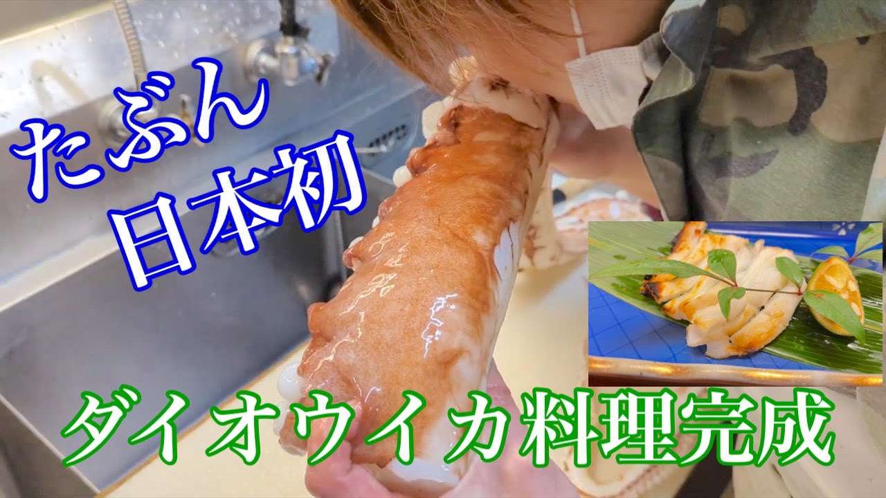 ダイオウイカ 食べ物