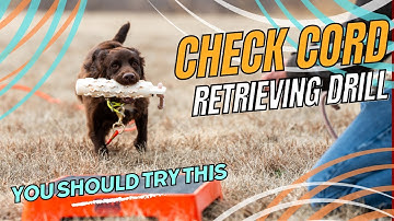 Try This Check Cord Retrieving Drill