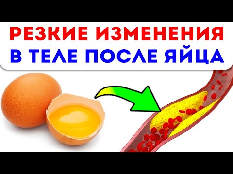 ВОТ КАК ЯЙЦО ИЗМЕНИТ ТВОЕ ТЕЛО! Знаете ли вы, сколько можно съедать яиц в день?