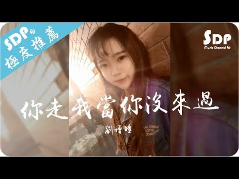 劉增瞳 - 你走我當你沒來過「高音質 x 動態歌詞 Lyrics」♪ SDPMusic ♪