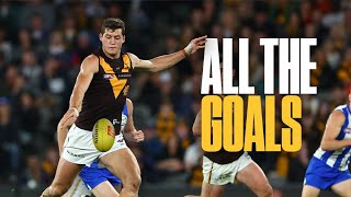 Every One Of Hawthorn's Goals Against North Melbourne! - Round 6, 2024