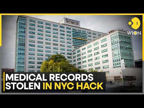 Niquidoll Files: The Biggest Data Breach In History?