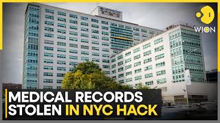Massive NYC Health Data Breach Exposes Records Of 1.8 Million Patients | WION