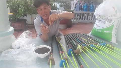 Giao lưu cần độ câu dò dìa nâu và bài mồi câu (cá hanh )zalo 0934826491 : cám câu cá dò