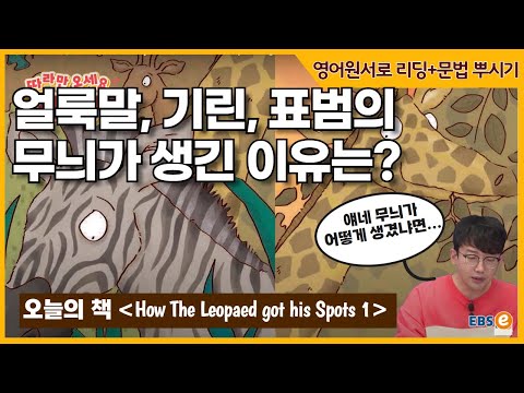 옛날 옛적엔 무늬가 하나도 없었다고요?! 동화로 읽는 동물 이야기_ 따라만오세요펀리딩 Story 48 1편