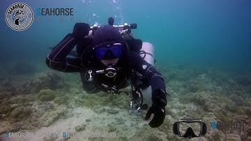 스쿠버 다이빙 - TDI 어드밴스드 나이트록스 Advanced Nitrox by 브라더스쿠바