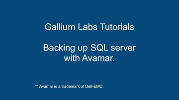 SQL Database backup and restore using Avamar