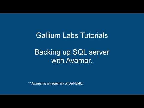 SQL Database backup and restore using Avamar