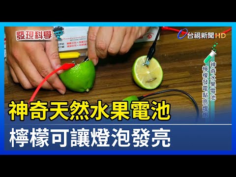神奇天然水果電池 檸檬可讓燈泡發亮【發現科學】