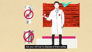 How superbugs can make antibiotics ineffective for your pets too