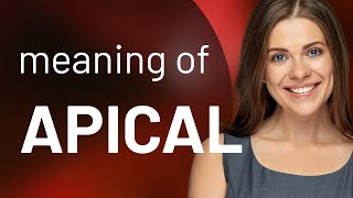 Apical Definition Of Apical