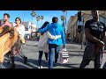 Cash 2.0 Great Dane at the 3rd street promenade in Santa Monica の動画、YouTube動画。