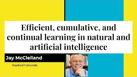 Continual learning in natural and artificial intelligence - Jay McClelland - CoLLAs 2024