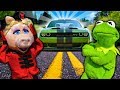 Miss Piggy takes a Ride in Kermit The Frog's NEW Sports Car!