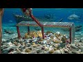Wait… Gold &amp; Diamonds Hidden Under the Sunset?! 24h Beach Cleanup Treasure Hunt!