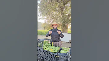 ناشکووری و کوفرانەبژێری خەڵکان لەساغ نەبوونەوەی بەرهەمەکانیان 