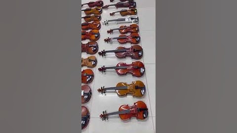Địa điểm cho thuê đàn violon tại quận 12