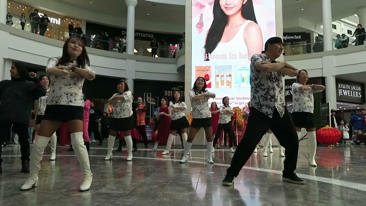 20260214 愛你在心口難開   夢幻貓咪 Group Dance CCCE CNY Celebrations at Menlo Park Mall