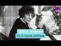 Colette pionnire de la cause animale