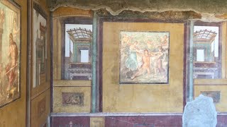 A Tour of Pompeii! It's Amazing! The Vlog