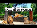 Delhi zoo     national zoological park  delhi india