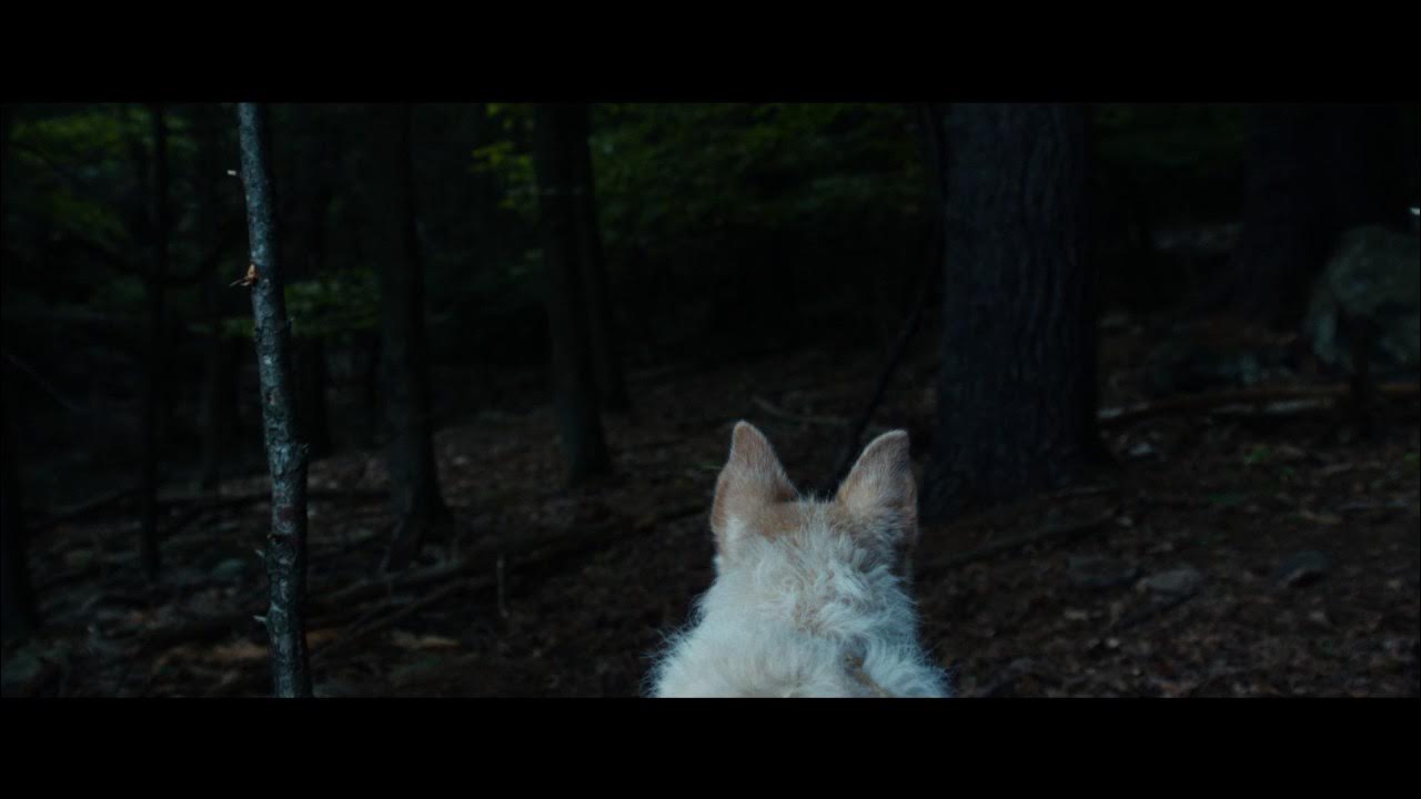 Оно приходит за тобой трейлер на русском. Оно приходит за тобой трейлер на русском. Оно приходит за тобой трейлер на русском. Оно приходит ночью трейлер. Оно следует за тобой 2014.