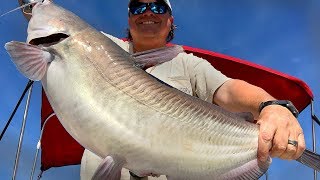 Excellent Fall Catfishing