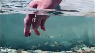 DIY Home Aquarium | How to Build Your Own Fish Tank at Home