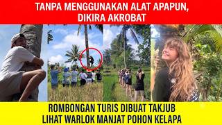 CRAZY! Group of Tourists Totally Shocked Seeing Indonesian Guy's God-Tier Coconut Tree Climbing S...