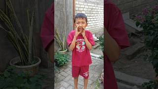 Om Telolet Omshortsfeed short comedy funny trendingshorts