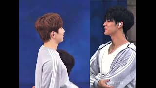 Queen Card Wonwoo Ft. Mingyu