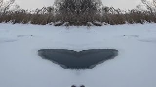 Extreme hardening Winter swimming Ice water swimming.Экстрим Закаливание Моржевание плавание в ледян