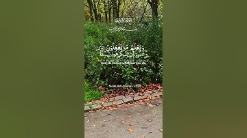 تلاوة خاشعة لآيات من كتاب الله #القرآن_الكريم #القرآن #المصحف #الله #اكسبلور #foryou #راحة_نفسية