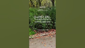 تلاوة خاشعة لآيات من كتاب الله #القرآن_الكريم #القرآن #المصحف #الله #اكسبلور #foryou #راحة_نفسية