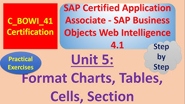BusinessObjects Report Design I: Unit 5 :Practical Examples: Document Formatting