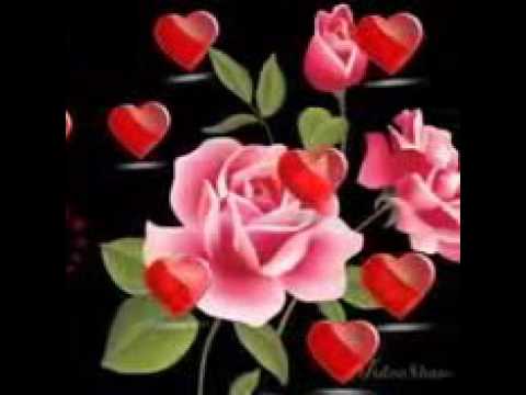 إرجع ترى مانسوى شي بدونك