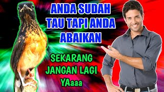 SAYANGI MURAI TROTOL ANDA JANGAN ABAIKAN HAL INI LAGI YA | RAWATAN MURAI TROTOL AGAR PASTOL FIGHTER SAYANGI MURAI TROTOL ANDA JANGAN ABAIKAN HAL INI LAGI YA | RAWATAN MURAI TROTOL AGAR PASTOL FIGHTER